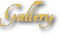 Logo GalleryScript